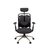 Ergonomic Chair
