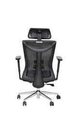 Aeris ErgoMesh Executive Chair