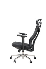 Aeris ErgoMesh Executive Chair