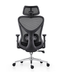 Aeris ErgoMesh Pro Chair