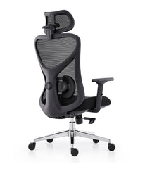 Aeris ErgoMesh Pro Chair