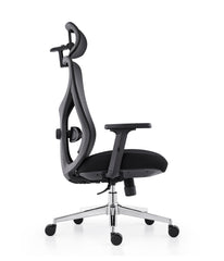 Aeris ErgoMesh Pro Chair