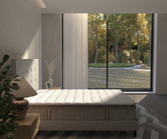 Trizenith Mattress PILLOWTOP