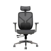 Ergonomic Chair