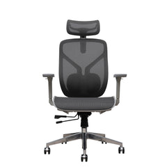Ergonomic Chair