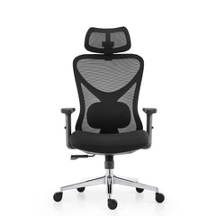 Aeris ErgoMesh Pro Chair