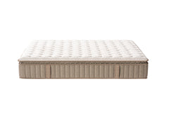 Trizenith Mattress PILLOWTOP
