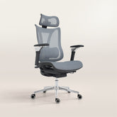 Apex ergonomic chair
