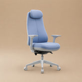 Axis Elite Ergonomic Office Chair