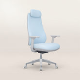 Elite Sky Blue Ergonomic Office Chair