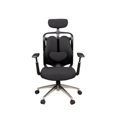 Ergonomic Chair