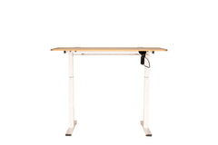 Liftable Adjustable Standing Desk