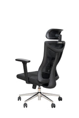 Aeris ErgoMesh Executive Chair