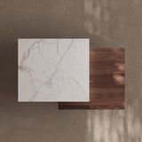 Aurea Coffee Table