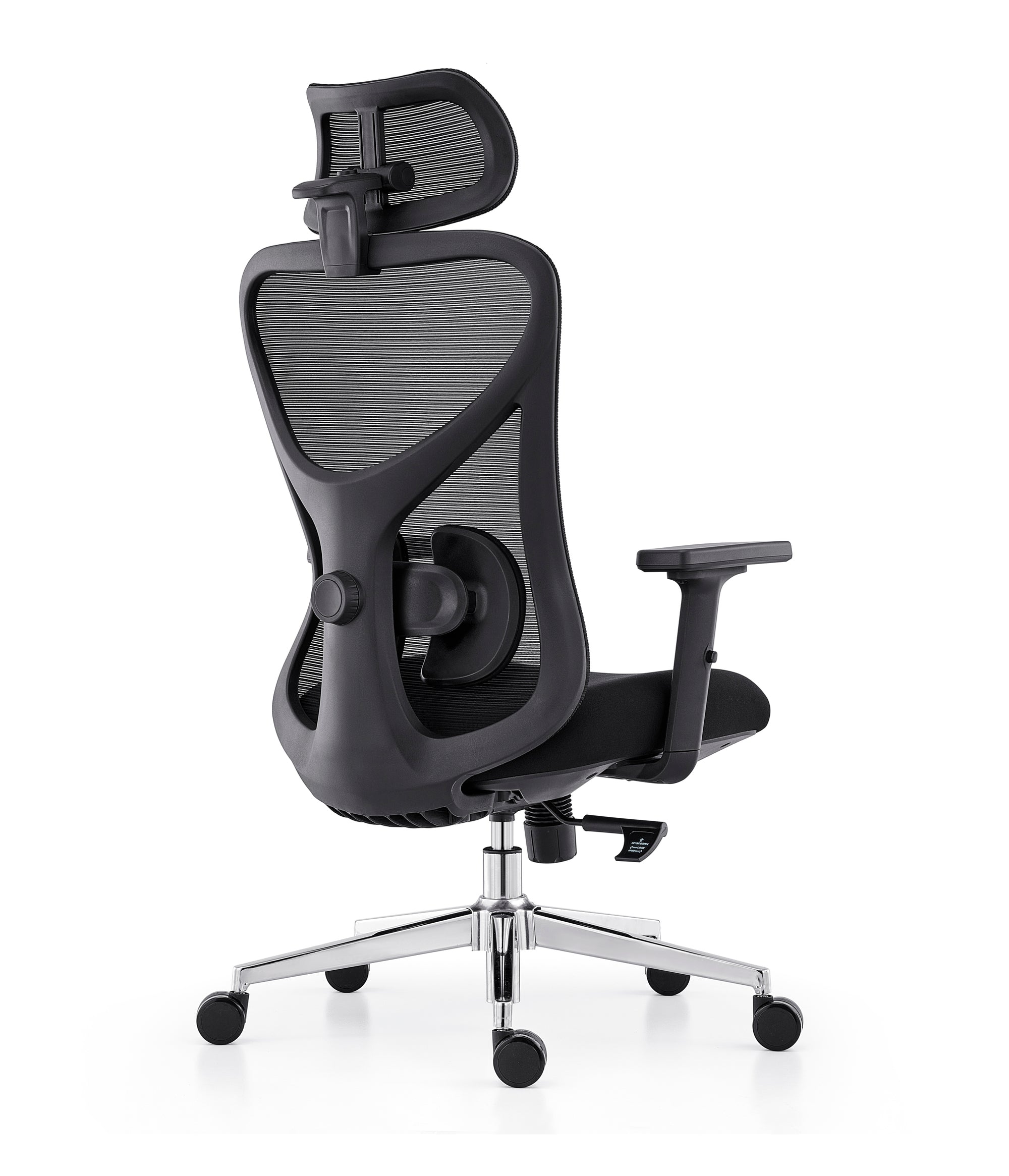 Aeris Ergo Mesh Pro Chair