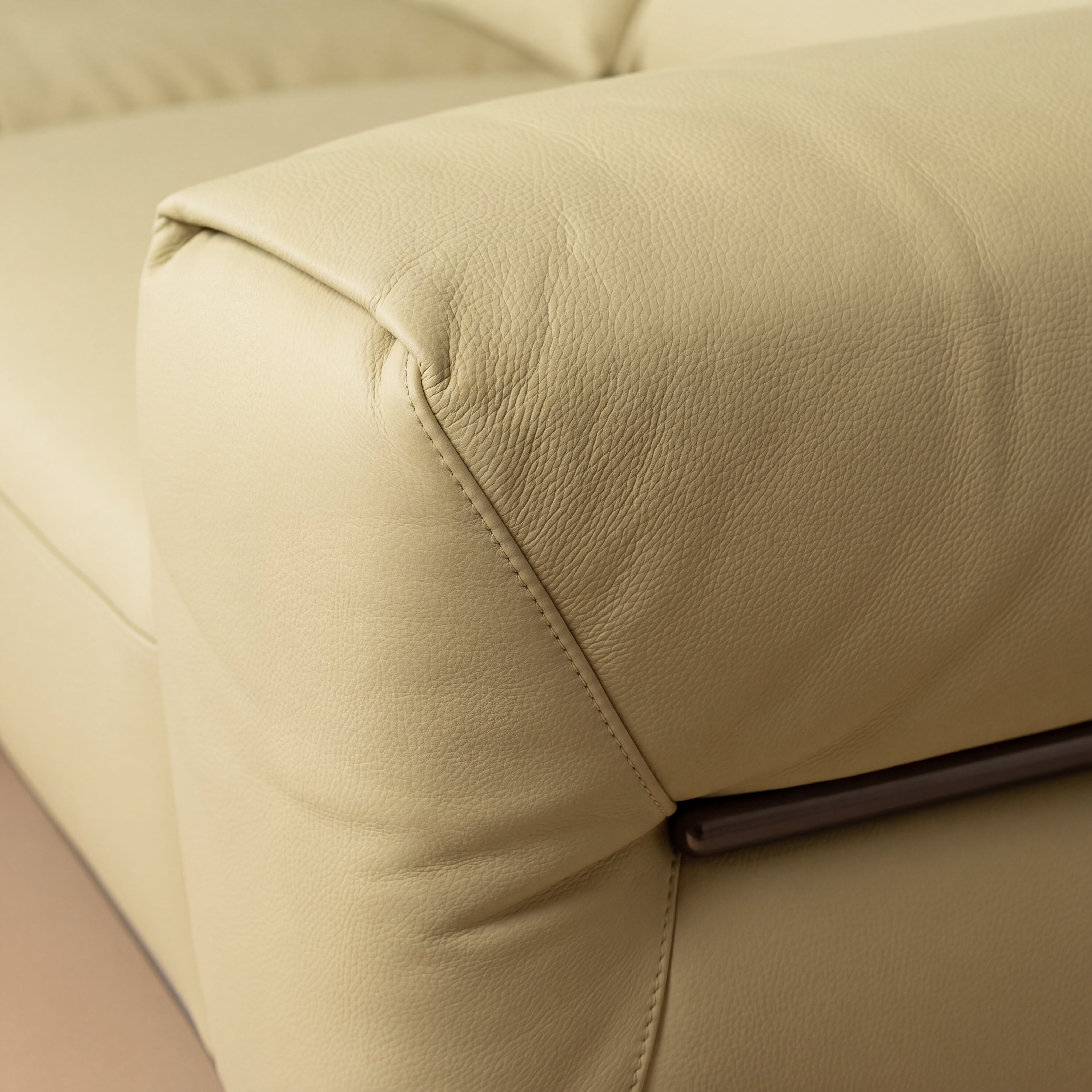 Genuine Leather Modern Sofa