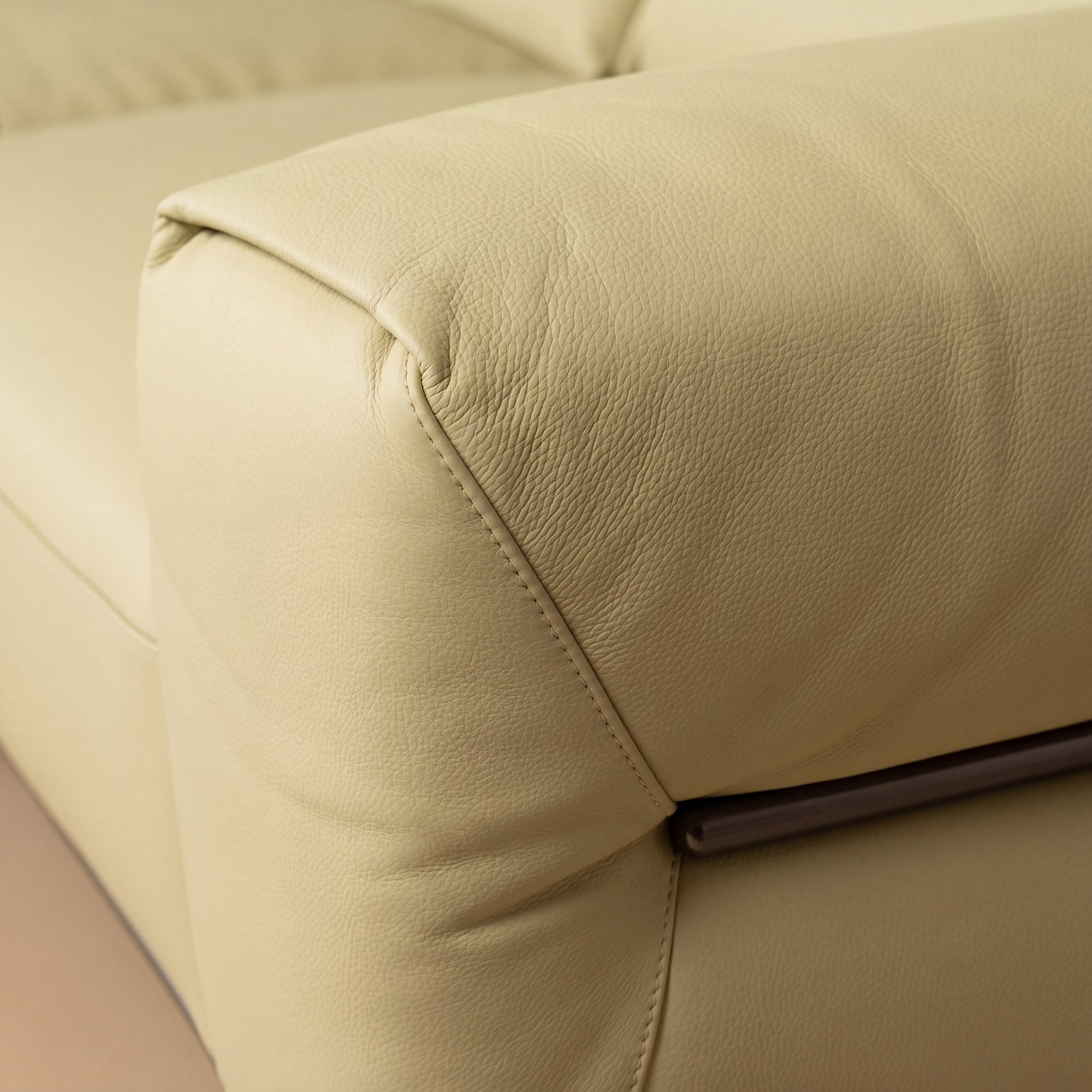 Genuine Leather Modern Sofa