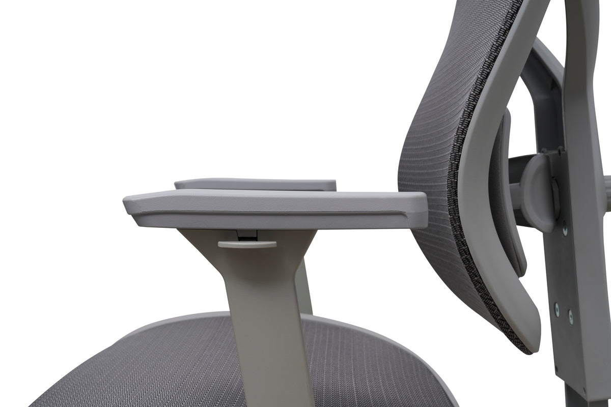 Ergonomic Chair