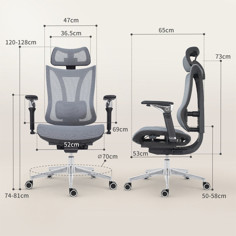 Apex ergonomic chair
